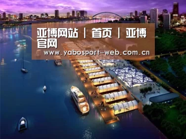 案例展示八