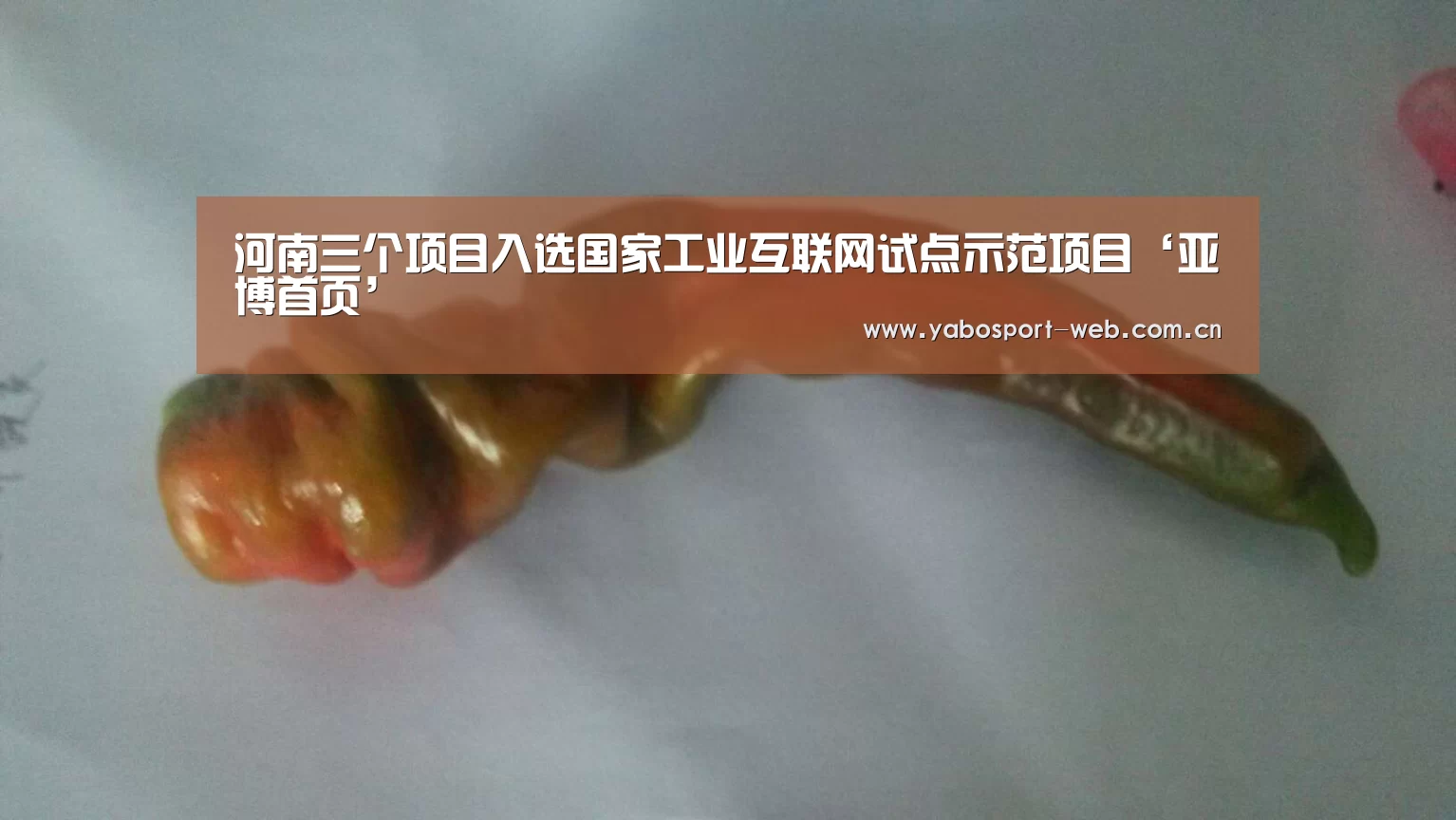 亚博首页