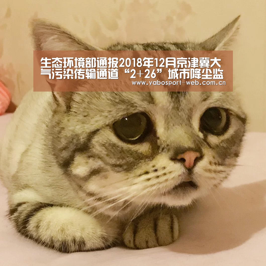 生态环境部通报2018年12月京津冀大气污染传输通道“2+26”城市降尘监测结果|亚博首页(图2) 亚博官网