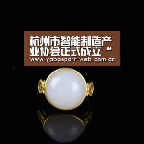 杭州市智能制造产业协会正式成立“亚博官网”(图4) 亚博平台
