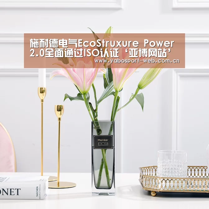 施耐德电气EcoStruxure Power 2.0全面通过ISO认证‘亚博网站’(图4) 亚博平台