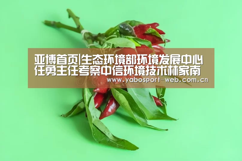 亚博首页|生态环境部环境发展中心任勇主任考察中信环境技术林家南河项目(图4) 亚博平台