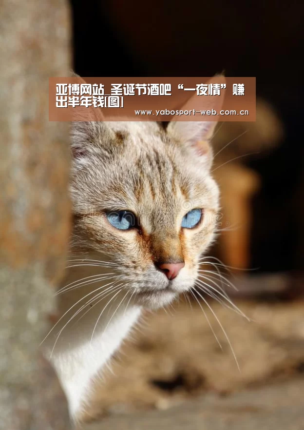 亚博平台