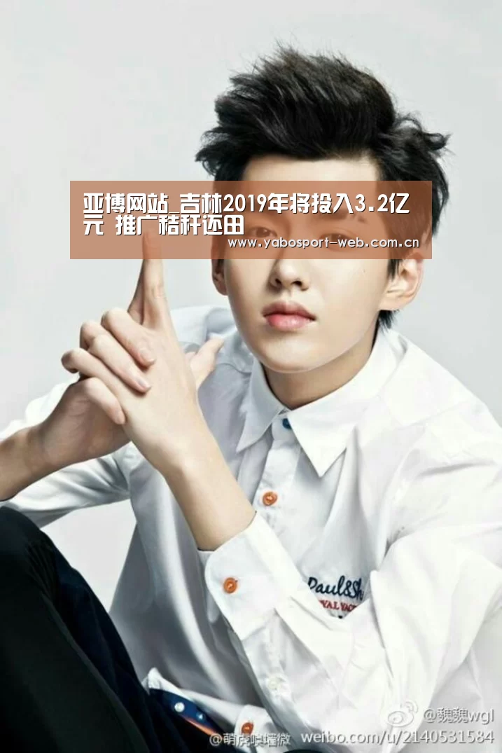 亚博网站_吉林2019年将投入3.2亿元 推广秸秆还田(图2) 亚博官网