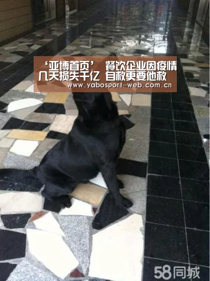 ‘亚博首页’
餐饮企业因疫情几天损失千亿 自救更要他救(图1) 亚博平台
