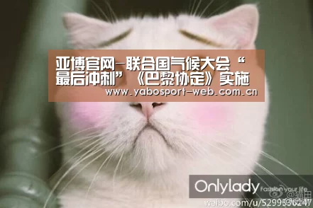 亚博官网-联合国气候大会“最后冲刺”《巴黎协定》实施细则(图1) 亚博平台