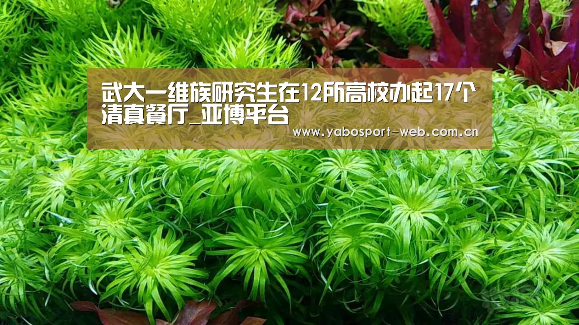 武大一维族研究生在12所高校办起17个清真餐厅_亚博平台(图1) 亚博官网