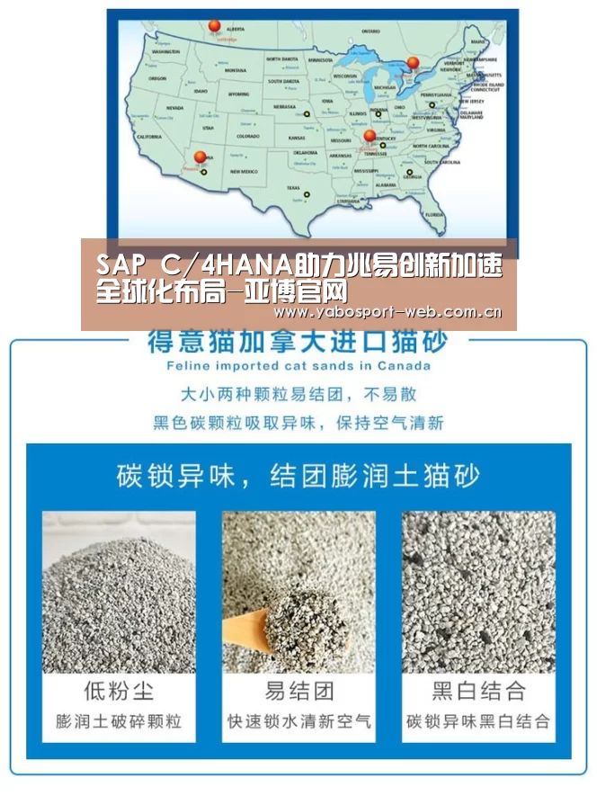 SAP C/4HANA助力兆易创新加速全球化布局-亚博官网(图4) 亚博首页