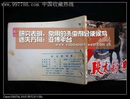 研究表明,常用的杀虫剂会使候鸟迷失方向:亚博平台(图2) 亚博网站